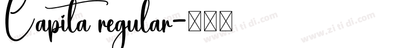 Capita regular字体转换